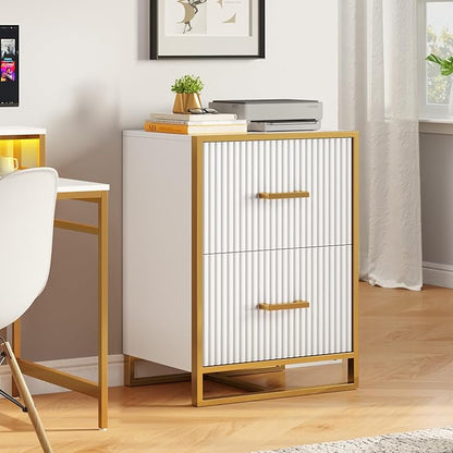 YITAHOME 2 Drawer File Cabinet, Lateral Filing Cabinet for Home Office, White and Gold - LeafyLoom