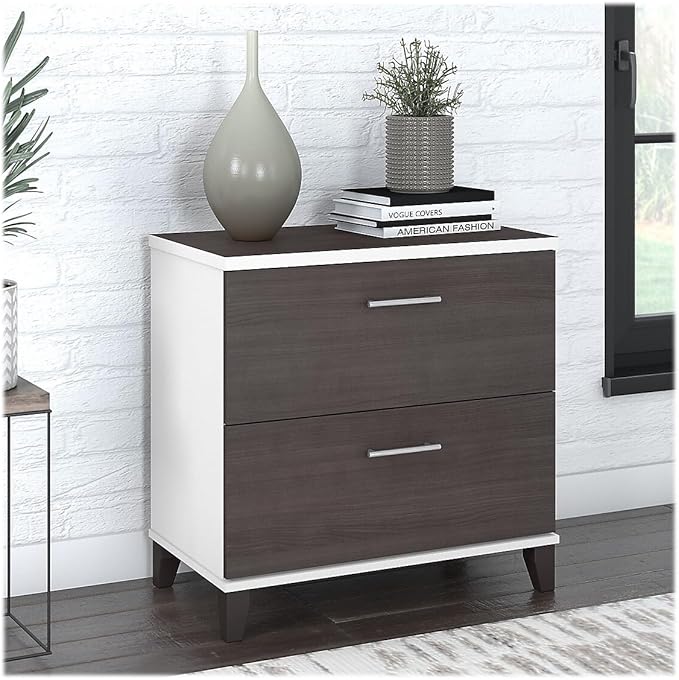 Bush Furniture Somerset 2 Drawer Lateral File Cabinet | Letter, Legal, and A4-size Document Storage for Home Office, 30W x 17D x 29H, White and Storm - LeafyLoom