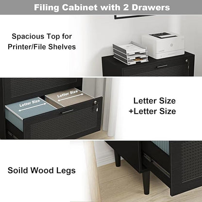 2 Drawer File Cabinet, Lateral File Cabinet with Lock, Rattan Wood Filing Organization Cabinet for Home Office, Black - LeafyLoom