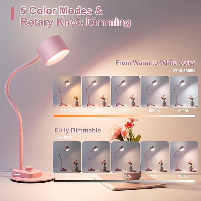 Cute Desk Lamp with USB C + A Charging Port, 5 Colors Dimmable Reading Lamps, Minimalist Pink Lamp for Kids, Eye Care Metal Bedside Table Lamp with Timer Flexible Gooseneck Desk Light for Home Office - LeafyLoom