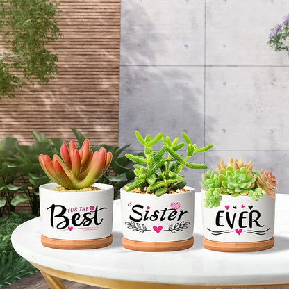 Mothers Day Sisters Gifts for Sister, Gifts for Sister from Brother Sister Birthday Gifts, Soul Sister Gifts for Women Sister in Law Gifts, Best Sister Ever Succulent Pots - LeafyLoom