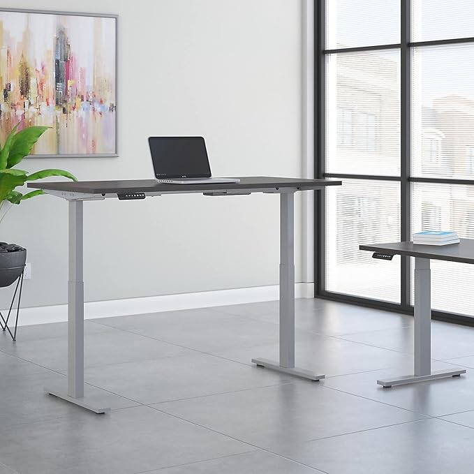 60W x 30D Height Adjustable Standing Desk - LeafyLoom