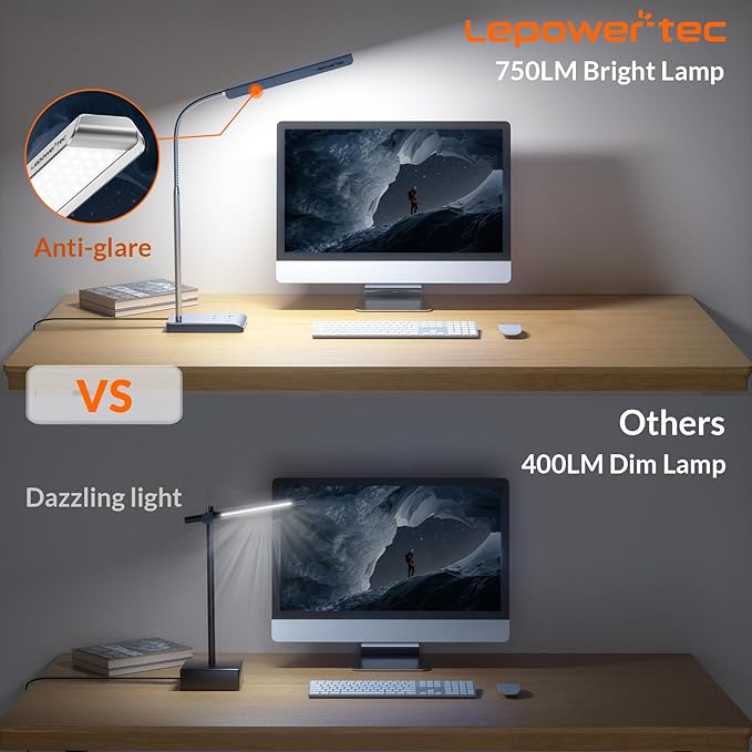 LED Desk Lamp, 12W Reading Desk Lamp for Office Home with 60 Lighting Modes, Touch Control & Timer Function, 750LM Bright Eye-Caring Gooseneck Desk Light Table Lamp for Study, Work, Silver - LeafyLoom