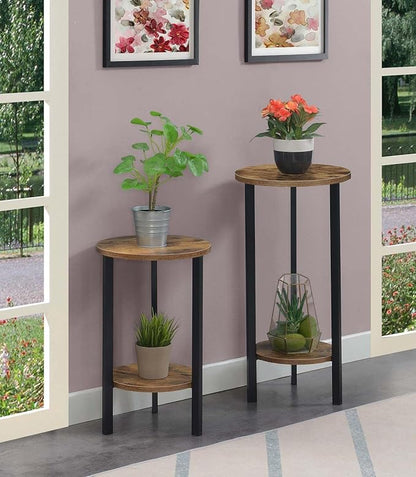 Convenience Concepts Graystone 31 inch 2 Tier Plant Stand, Barnwood/Black - LeafyLoom