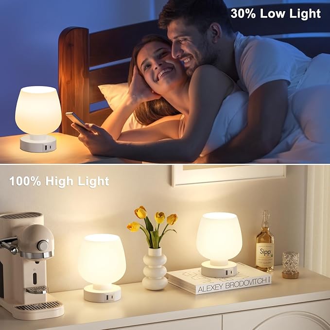 Kakanuo Bedside Table Lamps with Glass Shade, Touch Control, Dual USB A+C Charging Ports, Nightstand Lamps, 3-Way Dimmable, Bulbs Included, Set of 2 - LeafyLoom