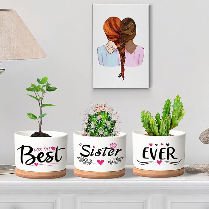 Mothers Day Sisters Gifts for Sister, Gifts for Sister from Brother Sister Birthday Gifts, Soul Sister Gifts for Women Sister in Law Gifts, Best Sister Ever Succulent Pots - LeafyLoom