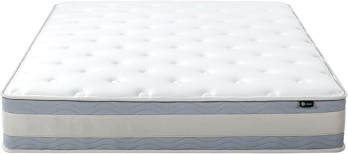 Zinus 10 Inch Comfort Support Hybrid Mattress [New Version], Queen, Fiberglass Free, Medium Plush, Motion Isolation, Certified Safe Foams & Fabric, Mattress in A Box - LeafyLoom