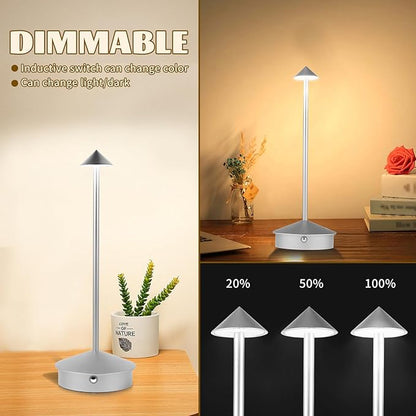 Rechargeable Battery Operated Desk Lamp with Touch Sensor Cordless Portable LED Table Lamp， Three-Level Dimmable Suitable for Bars/Cafes/Restaurants/Bedrooms/Camping Sites (Silver) - LeafyLoom