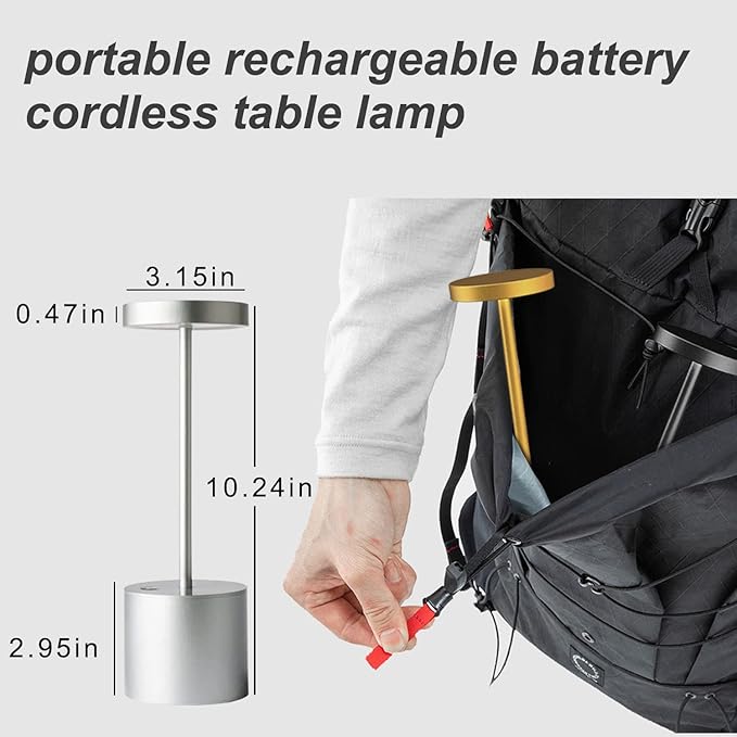 Cordless Table Lamp, Rechargeable LED Battery 5000mAh Metal USB Portable Powered Desk Lamp, 3 Levels Brightness Light for Restaurants Outdoor (10.25in Silver) - LeafyLoom