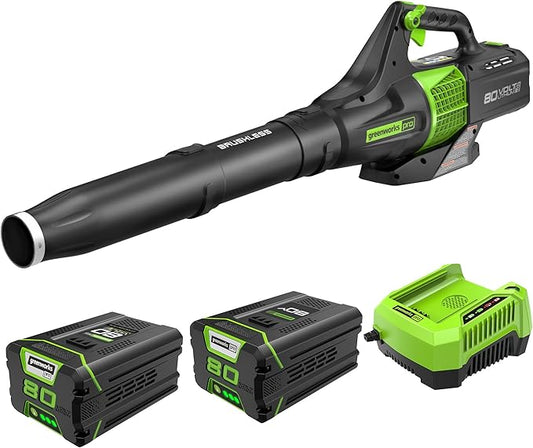 Greenworks Pro 80V (145 MPH / 580 CFM) Brushless Cordless Axial Leaf Blower, 2.5Ah Battery and Charger Included BL80L2510 & PRO 80V 2.0Ah Lithium-Ion Battery (Genuine Battery) - LeafyLoom