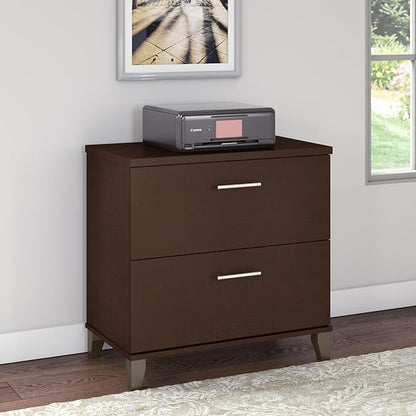 Bush Furniture Somerset 2 Drawer Lateral File Cabinet in Mocha Cherry - LeafyLoom