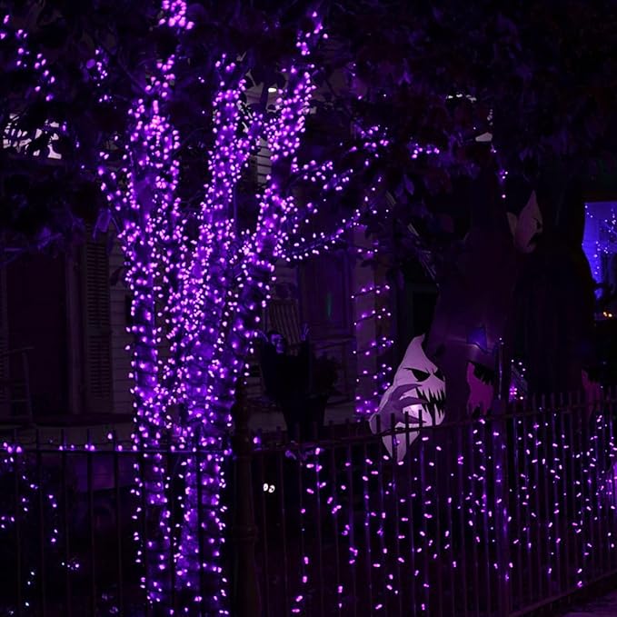 Dazzle Bright 2 Pack Halloween Fairy String Lights, Total 80FT 240 LED Solar Powered Fairy Lights with 8 Modes, Waterproof Copper Wire Lights for Outdoor Christmas Yard Party Patio (Purple) DazzleBright