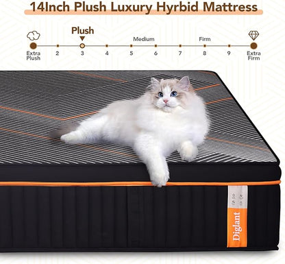 King Mattress, 14 Inch Plush Hybrid Mattress, Black Memory Foam with Individually Pocket Coils Mattress King Size in Box, Euro Top Mattress for Pressure Relief,Balanced Support, 76"*80" - LeafyLoom