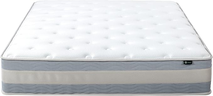 ZINUS 12 Inch Green Tea Cooling Gel Memory Foam Hybrid Mattress, Queen, Pocket Innersprings for Motion Isolation, Mattress in A Box - LeafyLoom