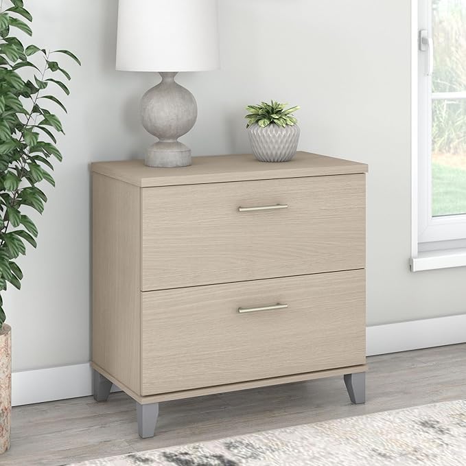 Bush Furniture Somerset 2 Drawer Lateral File Cabinet in Sand Oak - LeafyLoom