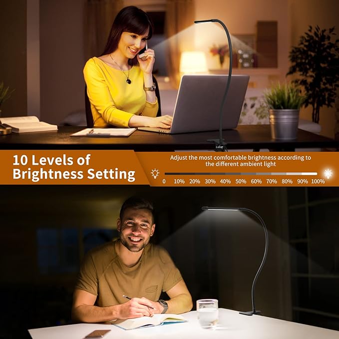 iZELL Desk Light, [2-Pack] LED Desk Lamp with Clamp [77 LEDs Light with 3 Color Modes & 10 Brightness Levels] Flexible Gooseneck LED Book Light, Easy Clip on Reading Light - LeafyLoom