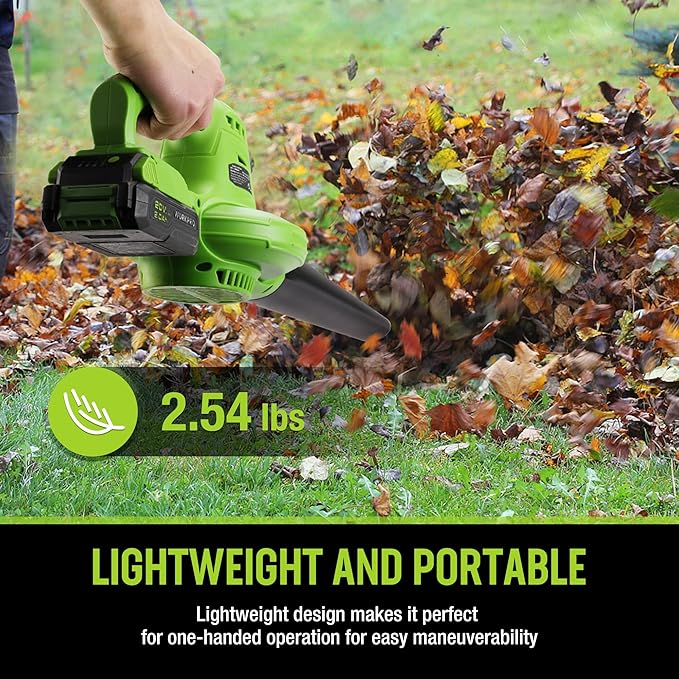 WORKPRO Cordless Leaf Blower, 20V Battery Powered Leaf Blower for Lawn Care, 2-Speed Control Lightweight Mini Electric Leaf Blower wih Battery and Charger - LeafyLoom