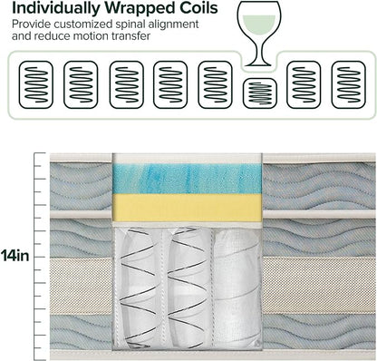 ZINUS 14 Inch Cooling Comfort Support Hybrid Mattress [New Version], Queen, Fiberglass free, Medium Plush, Cooling Motion Isolation, Certified Safe Foams & Fabric, Mattress in A Box - LeafyLoom