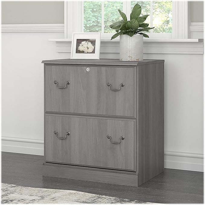 Saratoga 2-Drawer Lateral File Cabinet, Locking, Letter/Legal, Modern Gray, 26.85-Inch - LeafyLoom