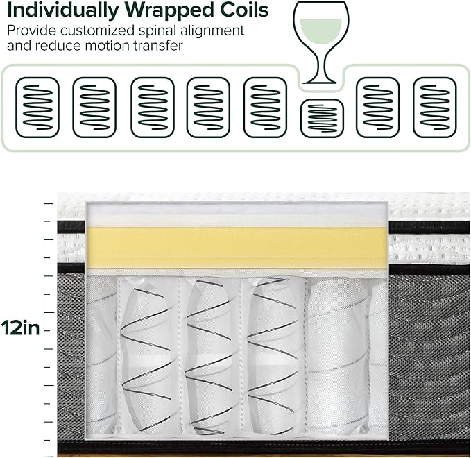 ZINUS 12 Inch True Support Hybrid Mattress [New Version], Queen, Fiberglass free, Medium Feel, Motion Isolation, Certified Safe Foams & Fabric, Mattress in A Box - LeafyLoom