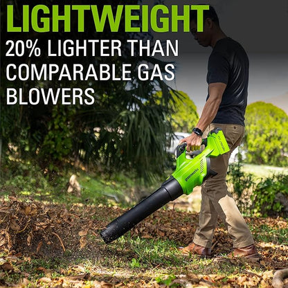 Greenworks 40V (120 MPH / 500 CFM / 75+ Compatible Tools) Cordless Axial Leaf Blower, 2.5Ah Battery and Charger Included - LeafyLoom