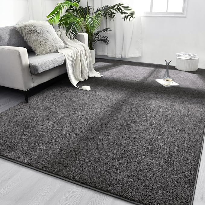 Area Rugs for Bedroom Living Room, 5x8 Dark Grey Super Soft Comfy Thickened Memory-Foam Indoor Carpets, Modern Aesthetic Minimalist Carpet for Boys Girls Adults Apartment Nursery Home Décor - LeafyLoom