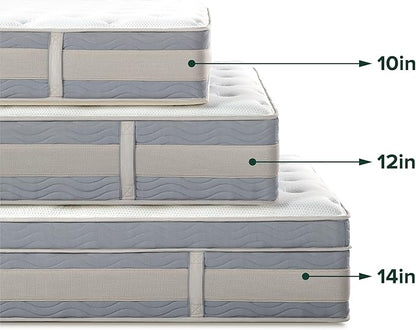 ZINUS 10 Inch Green Tea Cooling Gel Memory Foam Hybrid Mattress, King, Pocket Innersprings for Motion Isolation, Mattress in A Box - LeafyLoom