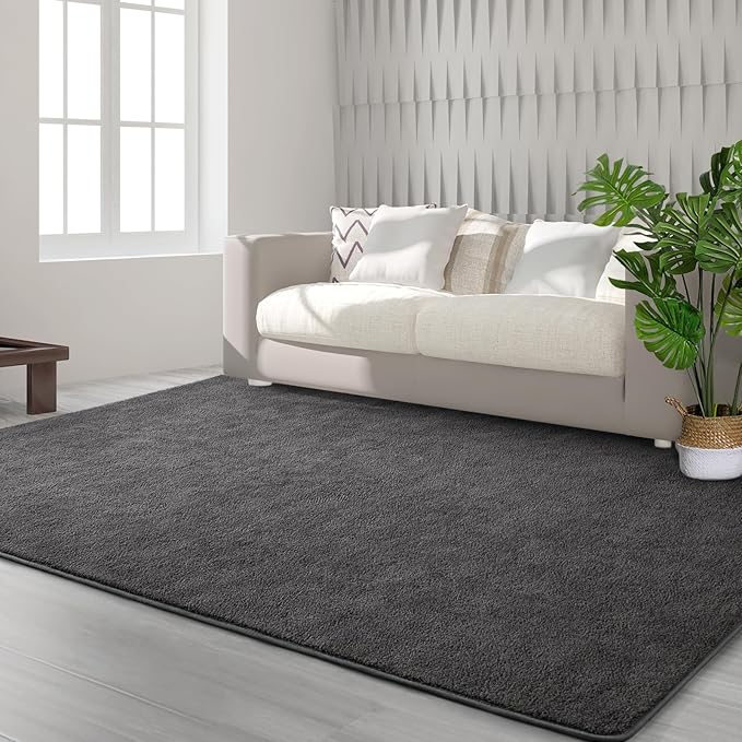 Area Rugs for Bedroom Living Room, 4x6 Dark Grey Super Soft Comfy Thickened Memory-Foam Indoor Carpets, Modern Aesthetic Minimalist Carpet for Boys Girls Adults Apartment Nursery Home Décor - LeafyLoom