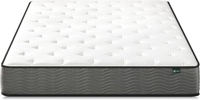 ZINUS 10 Inch True Support Hybrid Mattress [New Version], Full, Fiberglass free, Medium Feel, Motion Isolation, Certified Safe Foams & Fabric, Mattress in A Box - LeafyLoom