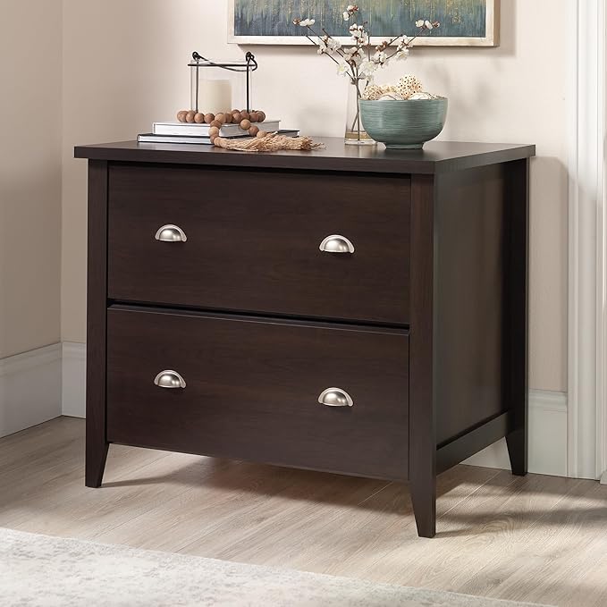 Sauder Summit Station 2-Drawer Lateral File Cabinet, L: 33.86" x W: 20.87" x H: 29.02", Cinnamon Cherry finish - LeafyLoom