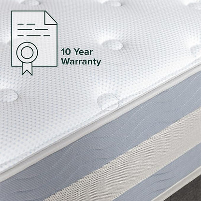 ZINUS 12 Inch Green Tea Cooling Gel Memory Foam Hybrid Mattress, Queen, Pocket Innersprings for Motion Isolation, Mattress in A Box - LeafyLoom