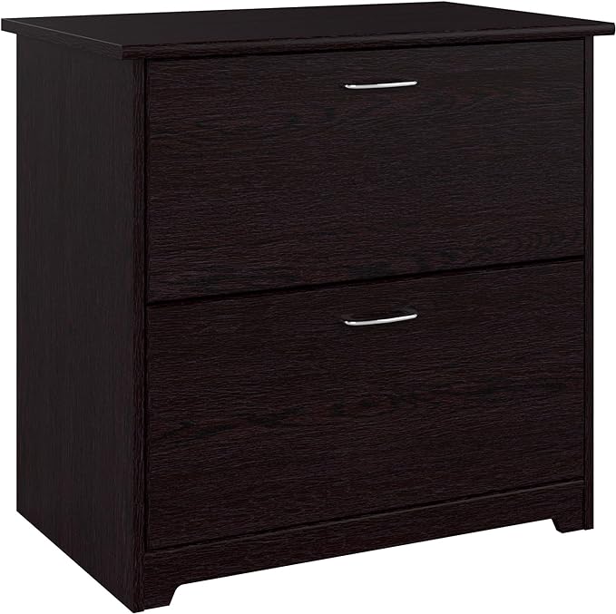 Bush Business Furniture Cabot 2 Drawer Lateral File Cabinet | Letter, Legal, and A4-size Document Storage for Home Office, 32W, Espresso Oak - LeafyLoom