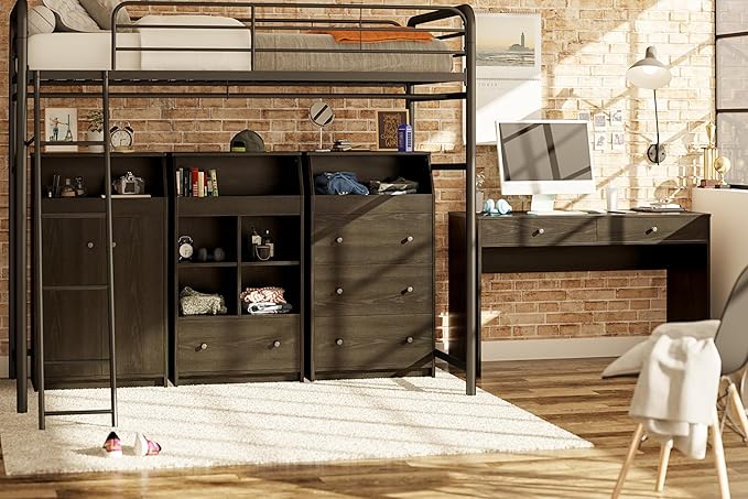 Ameriwood Home The Loft 2 Door Storage Tower, Large, Black Oak - LeafyLoom