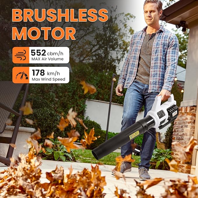 20V Cordless Brushless Leaf Blower for Lawn Care, 580-CFM 160-MPH 4.0Ah Battery Powered with Variable Speed, Handheld, Including Battery&Fast Charger. - LeafyLoom