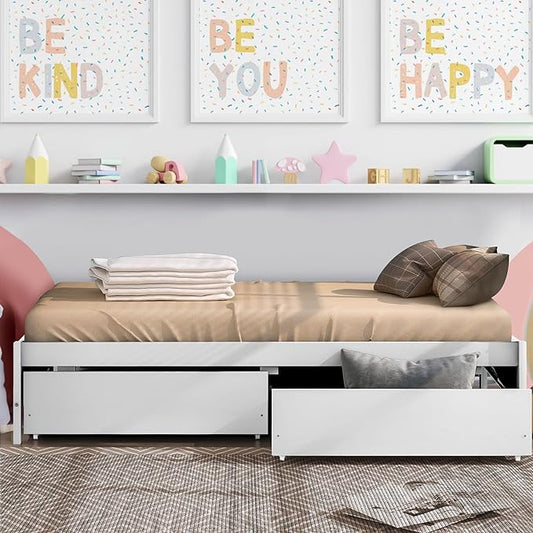 Twin Bed with 2 Storage Drawers, Solid Pinewood Twin Size Bed Frame,for Boys/Girls/Teens Bedroom, Easy to Assemble, No Box Spring Needed,White - LeafyLoom