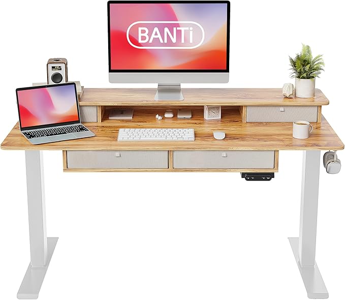 BANTI Height Adjustable Electric Standing Desk with 4 Drawers, 55 x 24 Inch Table with Storage Shelf, Sit Stand Desk, Light Rustic Brown Top - LeafyLoom