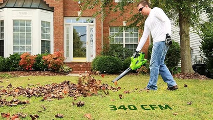 Greenworks 40V (185 MPH / 340 CFM / 75+ Compatible Tools) Cordless Brushless Leaf Blower / Vacuum, 4.0Ah Battery and Charger Included - LeafyLoom