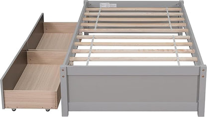 Twin Bed with 2 Storage Drawers, Solid Pinewood Twin Size Bed Frame,for Boys/Girls/Teens Bedroom, Easy to Assemble, No Box Spring Needed,Grey - LeafyLoom