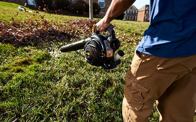 Poulan Pro Poulan Pro PPBV25 25-cc 2-Cycle 230-MPH 450-CFM Handheld Gas Leaf Blower - LeafyLoom