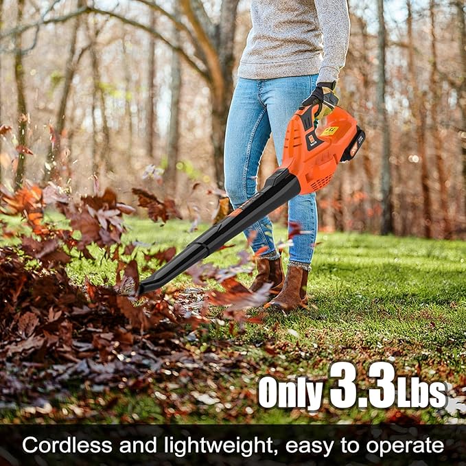 Leaf Blower Cordless,21V Handheld Electric Leaf Blower with 2.0Ah Battery and Charger, 2 Speed Mode, Lightweight Battery Powered Leaf Blower for Lawn Care, Patio, Yard, Sidewalk - LeafyLoom