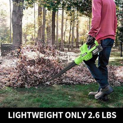 Cordless Leaf Blower, 150MPH Handheld Electric Leaf Blower with 2 x4.0Ah Battery and Charger, 2 Speed Modes, 20V Lightweight Battery Operated Leaf Blowers for Lawn Care, Patio, Blowing Leaves and Snow - LeafyLoom