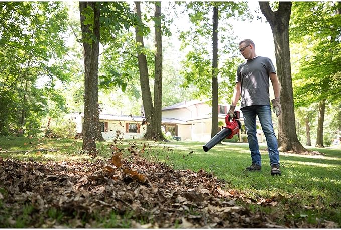 CRAFTSMAN V20* BRUSHLESS RP Blower (5.0Ah) (CMCBL730P1) - LeafyLoom