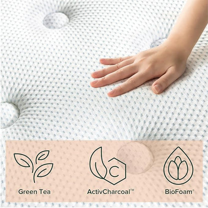 ZINUS 12 Inch Green Tea Cooling Gel Memory Foam Hybrid Mattress, Queen, Pocket Innersprings for Motion Isolation, Mattress in A Box - LeafyLoom