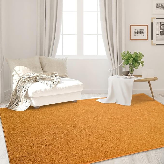 Area Rugs for Bedroom Living Room, 4x6 Orange Super Soft Comfy Thickened Memory-Foam Indoor Carpets, Modern Aesthetic Minimalist Carpet for Boys Girls Adults Apartment Nursery Home Décor - LeafyLoom