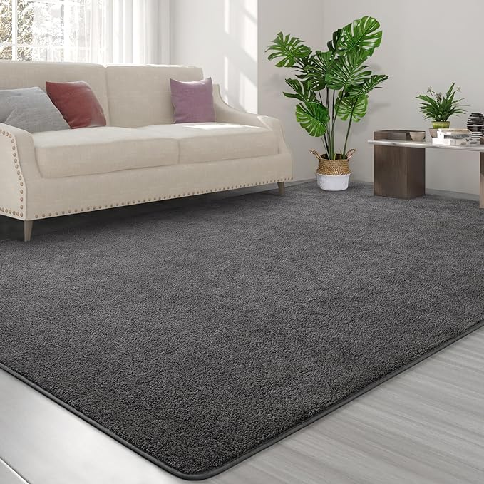 Area Rugs for Bedroom Living Room, 4x6 Dark Grey Super Soft Comfy Thickened Memory-Foam Indoor Carpets, Modern Aesthetic Minimalist Carpet for Boys Girls Adults Apartment Nursery Home Décor - LeafyLoom