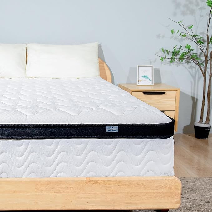 Queen Mattress | 12 Inch Queen Size Hybrid Mattresses in a Box | Medium Firm Memory Foam and Individual Pocket Springs | Fiberglass Free Bed Mattres | Breathable | CertiPUR-US - LeafyLoom