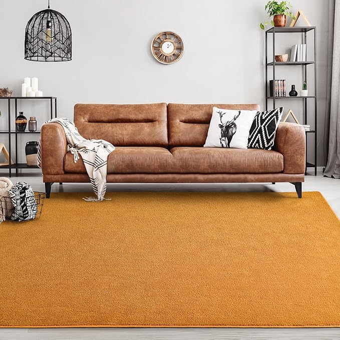 Area Rugs for Bedroom Living Room, 4x6 Orange Super Soft Comfy Thickened Memory-Foam Indoor Carpets, Modern Aesthetic Minimalist Carpet for Boys Girls Adults Apartment Nursery Home Décor - LeafyLoom