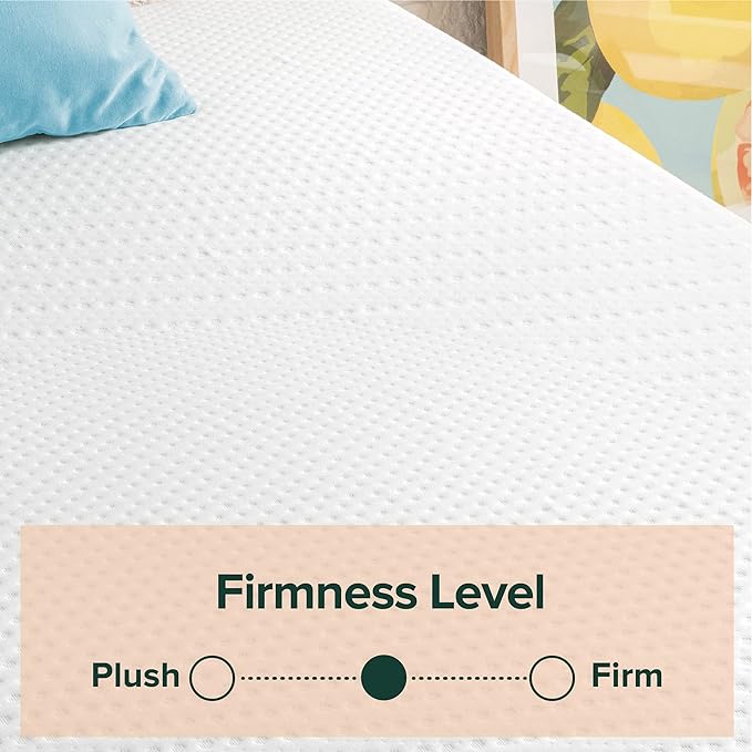 ZINUS 8 Inch Green Tea Essential Memory Foam Mattress, Queen, Mattress in A Box, Affordable Mattress, CertiPUR-US Certified - LeafyLoom