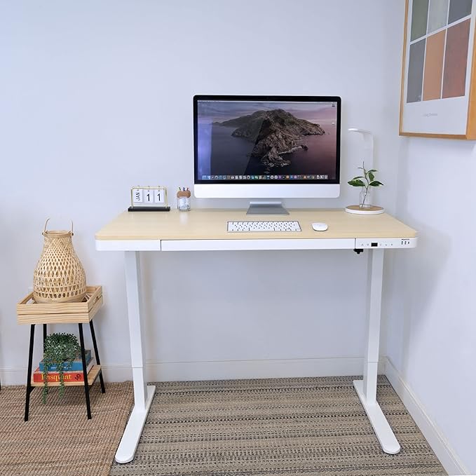 Mount-It! 47.2" Wide x 28.3" Deep Electric Height Adjustable Desk, Ergonomic Standing Workspace, Height Adjustment up to 46.5" Tall, Large Desktop, USB Ports, Drawer, Home Office, White, Maple Top - LeafyLoom