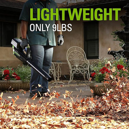 Greenworks 80V (125 MPH / 500 CFM / 75+ Compatible Tools) Cordless Axial Leaf Blower, 2.0Ah Battery and Charger Included - LeafyLoom